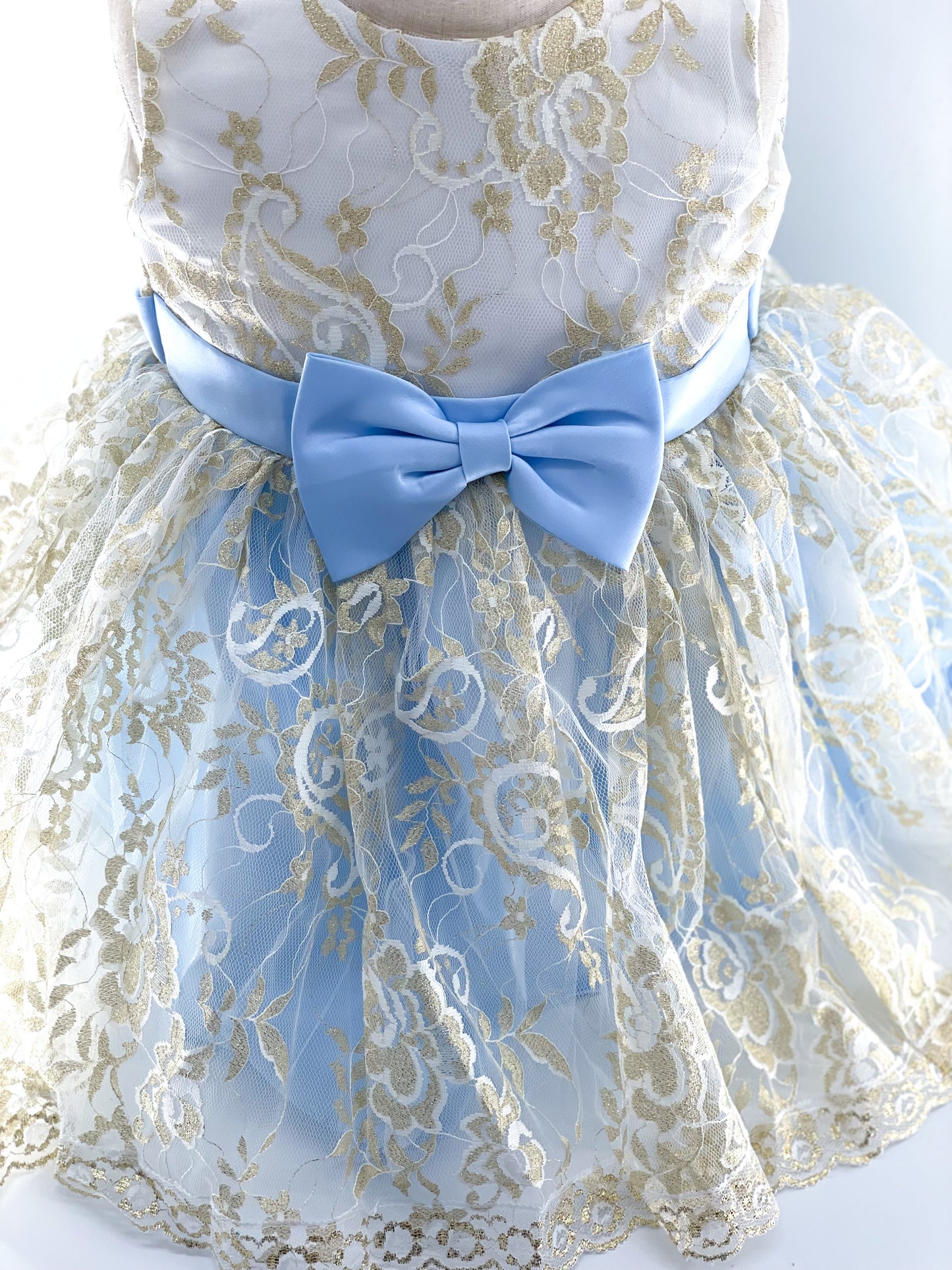 Goldie Dress