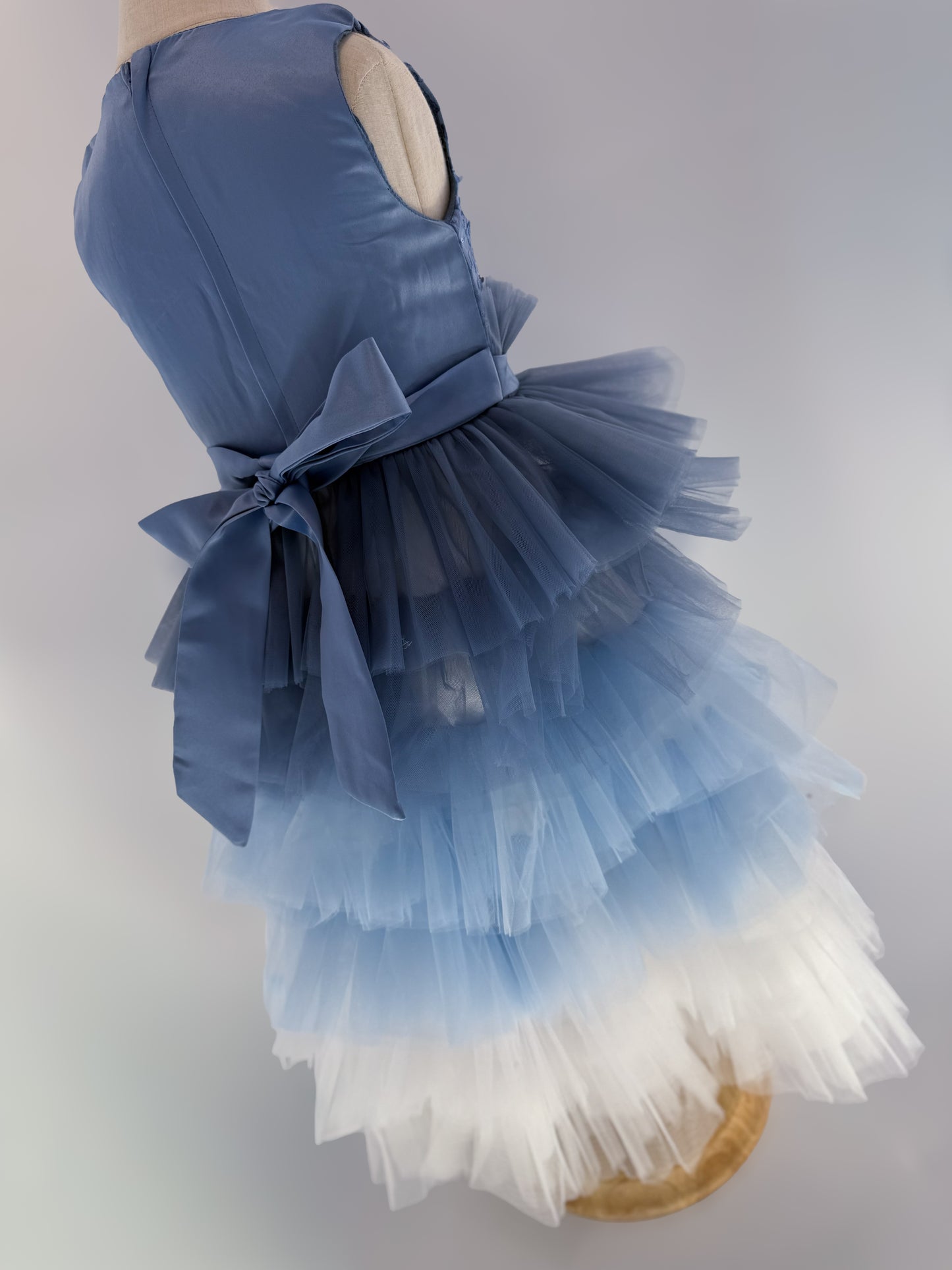 Jess Ombré Dress