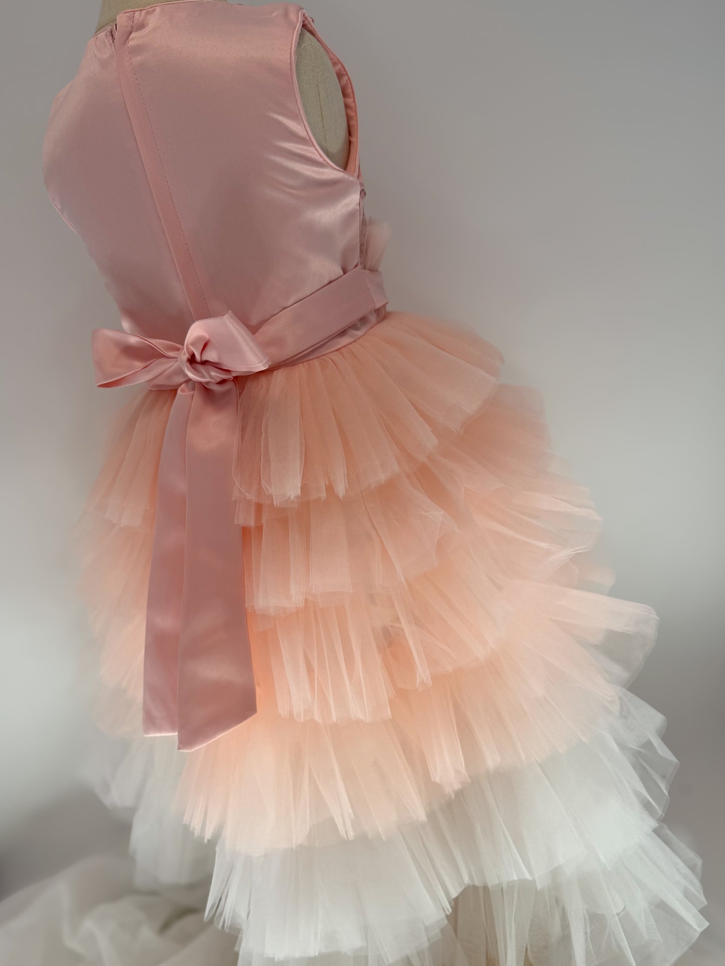 Jess Ombré Dress